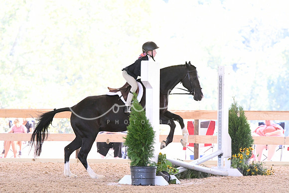 HSM_1804