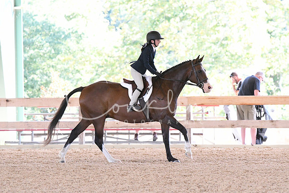 HSM_2681
