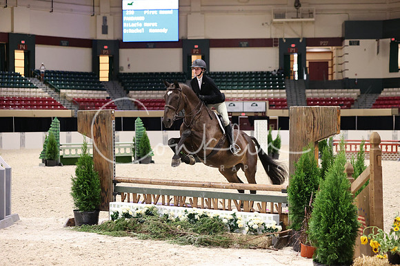 RJC38119