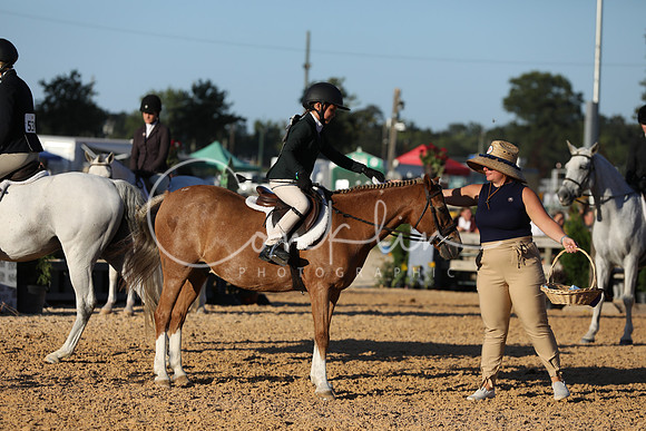 FA2A0194