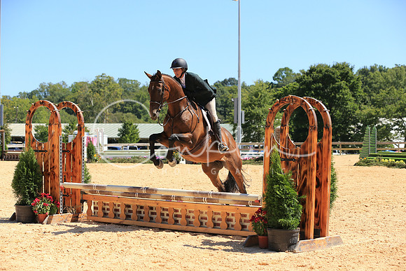RJCX3041