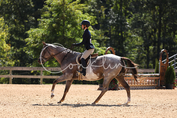 FA2A9336