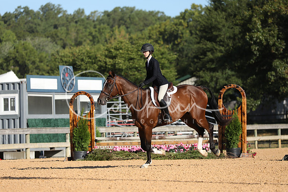 FA2A7248