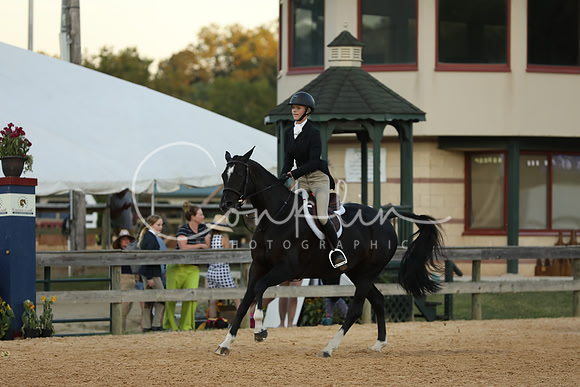 FA2A0564