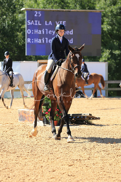 RJCX2007