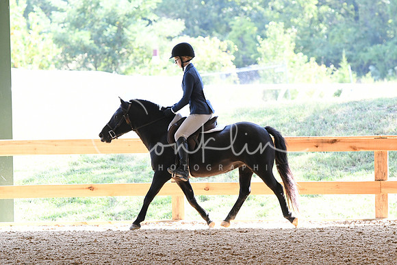 HSM_4553