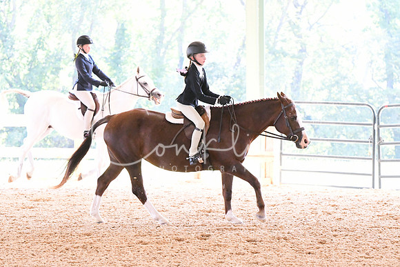 HSM_4582