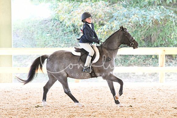 HSM_4586