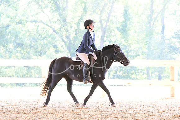 HSM_4595