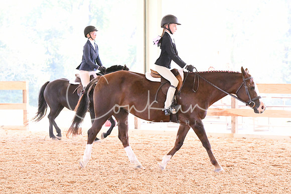 HSM_4596