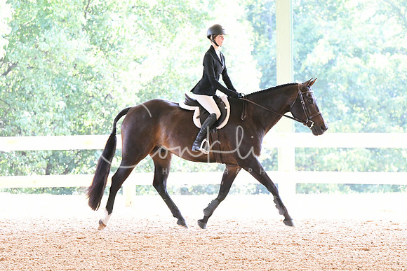 HSM_4519