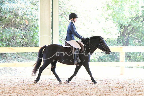HSM_4523