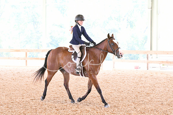 HSM_4528