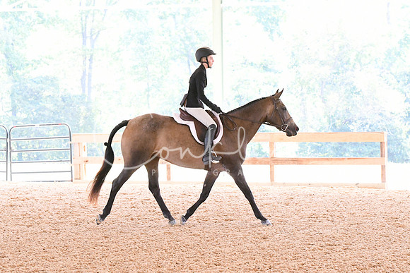 HSM_4529