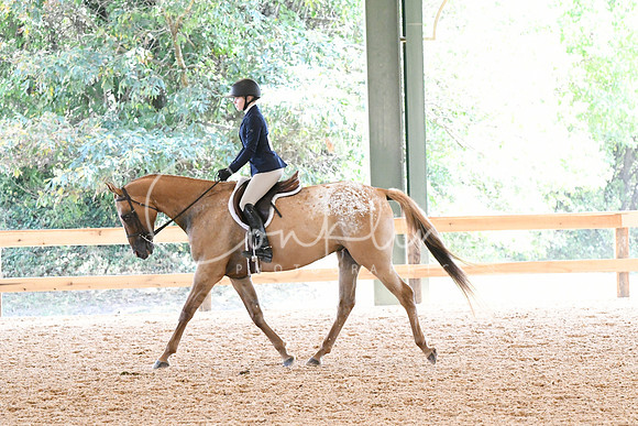 HSM_4874