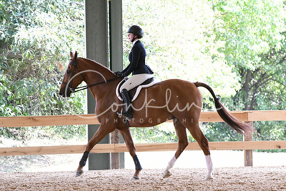 HSM_4931