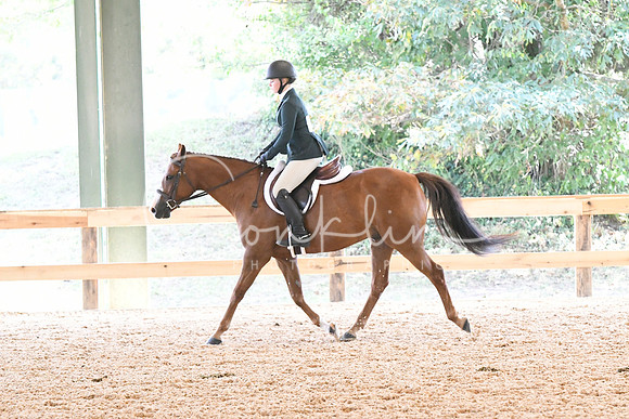 HSM_4833