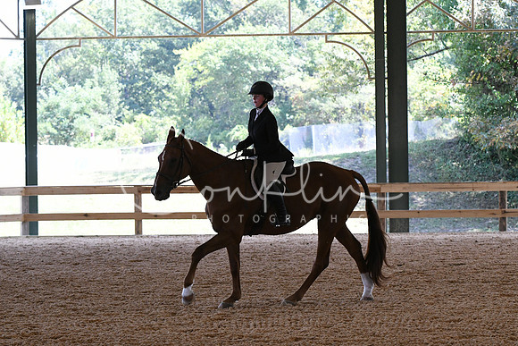HSM_5011
