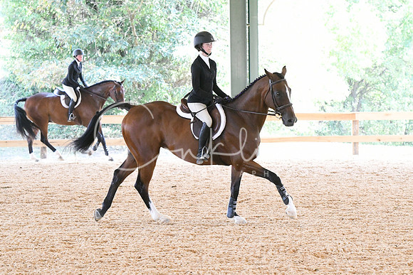 HSM_5016