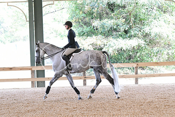 HSM_5289