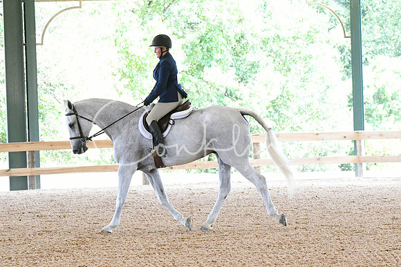 HSM_5295