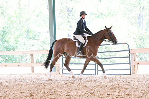 HSM_5331