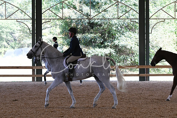 HSM_5376