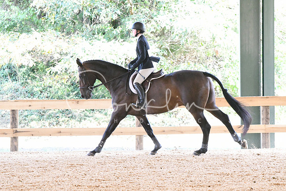 HSM_5393
