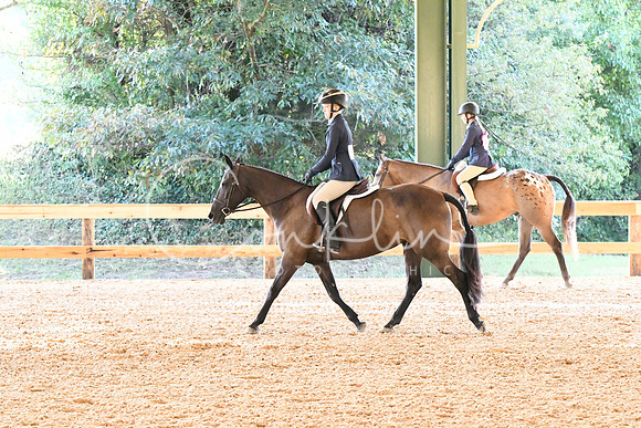 HSM_3519