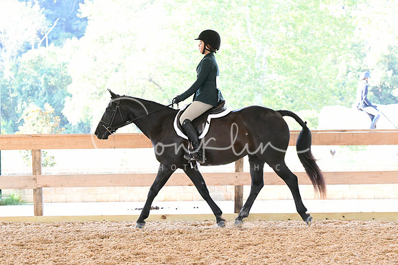 HSM_3534