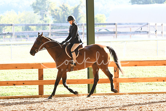 HSM_3535