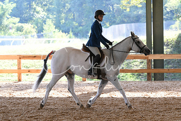 HSM_3850