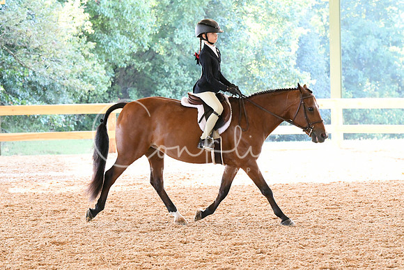 HSM_3705
