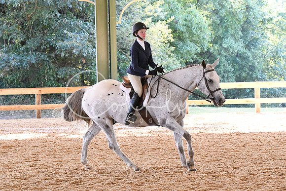 HSM_3776