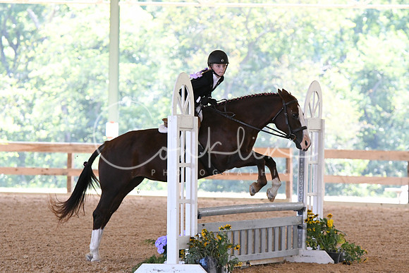 HSM_4690