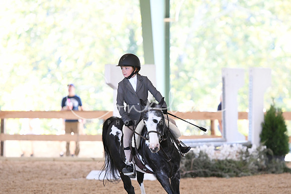 HSM_4184