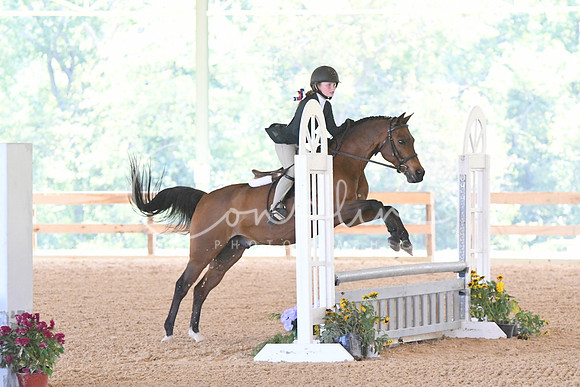 HSM_4639