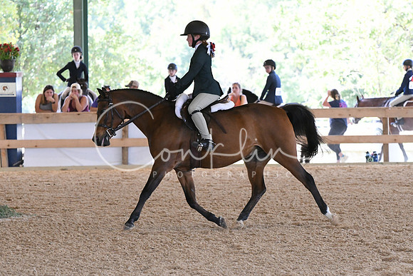 HSM_4646