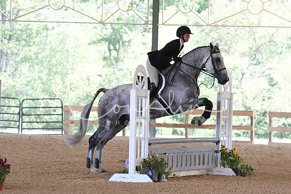 HSM_5538