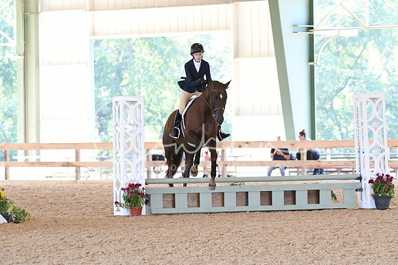 HSM_4169