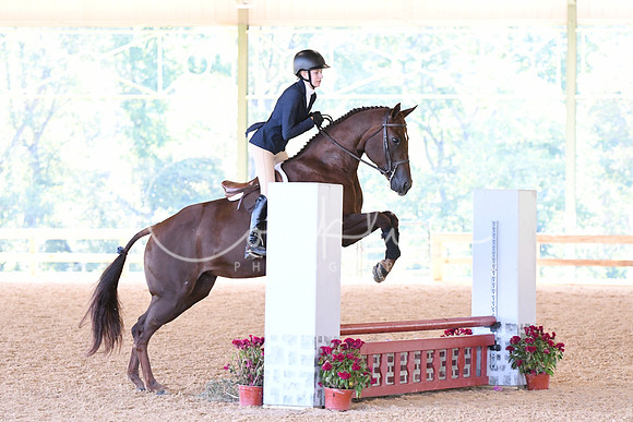 HSM_4172