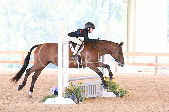 HSM_4361