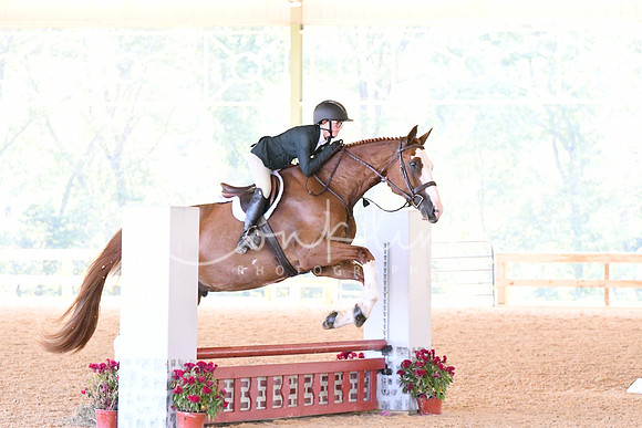HSM_4386
