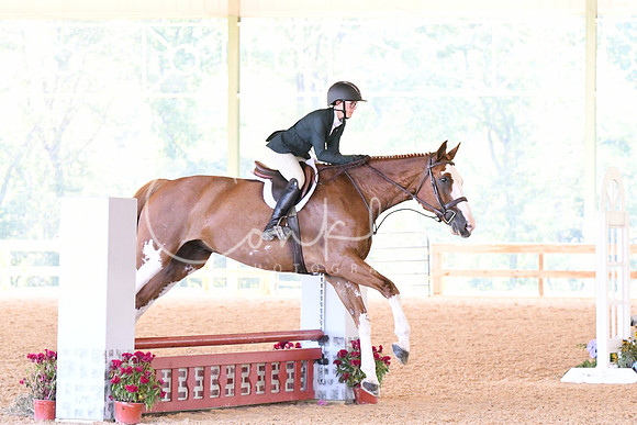 HSM_4387