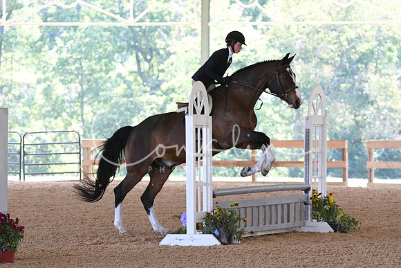 HSM_4628