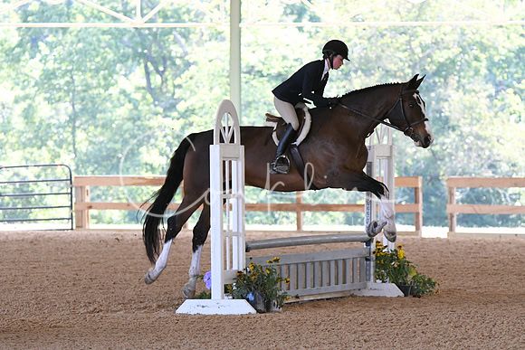 HSM_4629