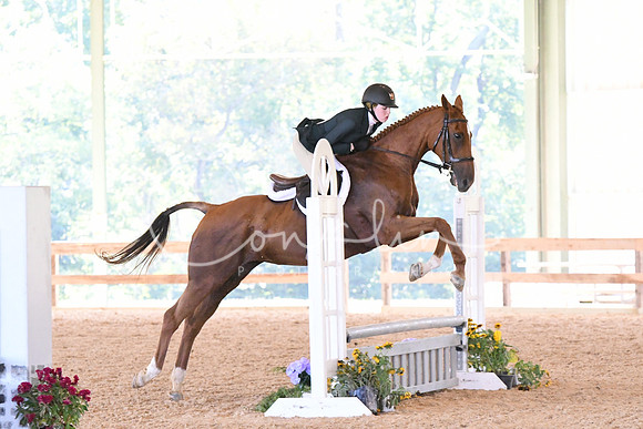 HSM_4336