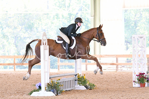 HSM_4337