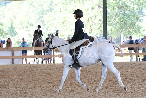HSM_4317