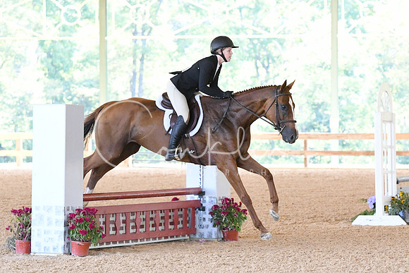 HSM_4727